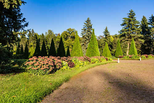 Парк Александрия в Петергофе