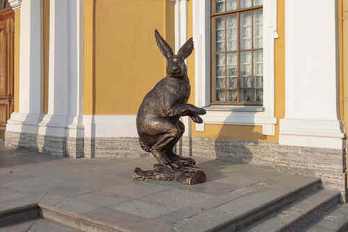 Заяц у Ботного дома в Петропавловке