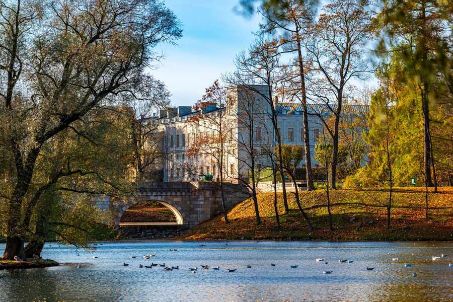 Гатчинчкий парк. Карпин мост.