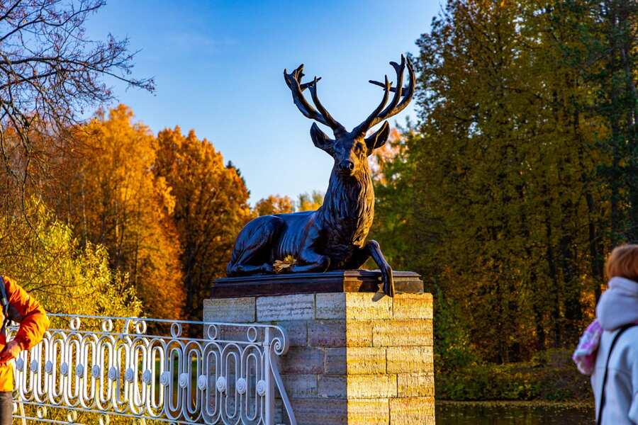 Олений мост в Павловске