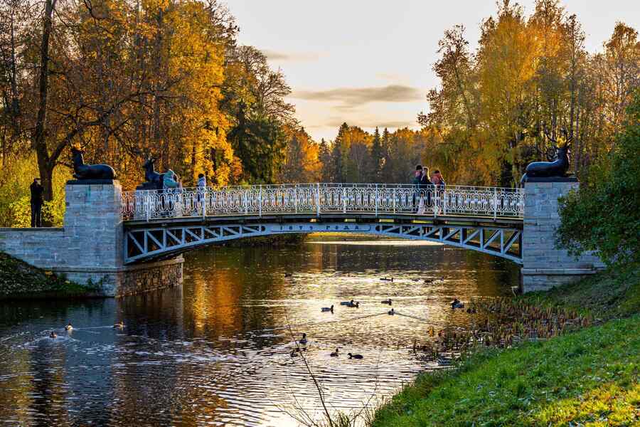 Осенний Павловск. Олений мост