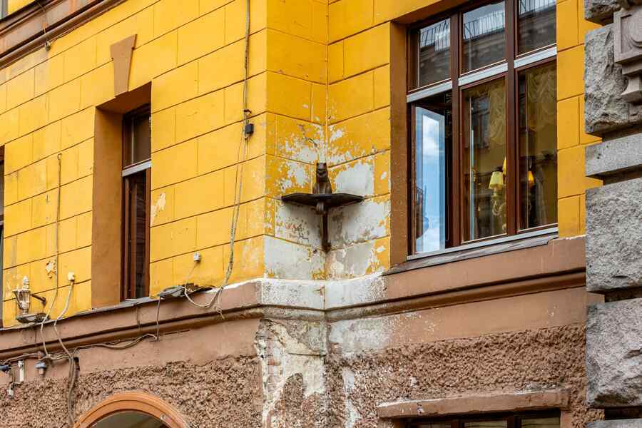 Памятник коту Елисею в Санкт-Петербурге