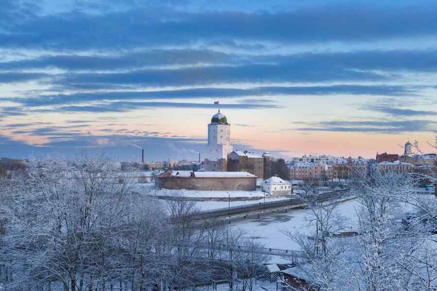 Выборгский замок зимой